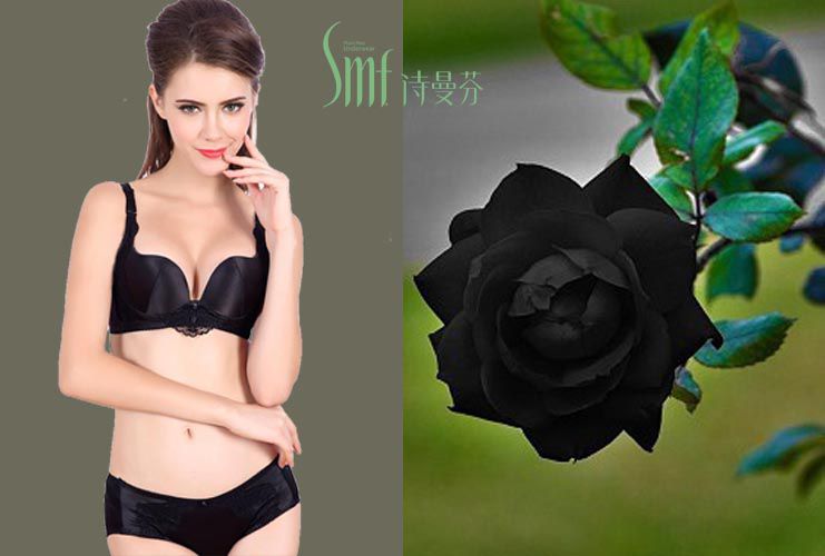 黑色玫瑰系列，詩曼芬內(nèi)衣中的經(jīng)典
